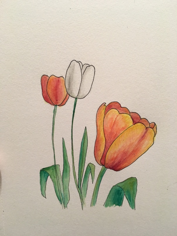 006 tulips